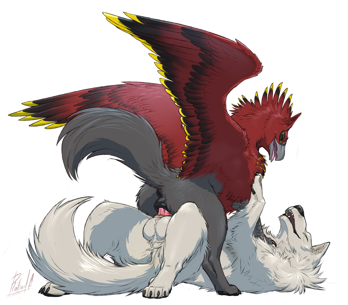 Fuzz (Dafuzz) Rule 34 Image