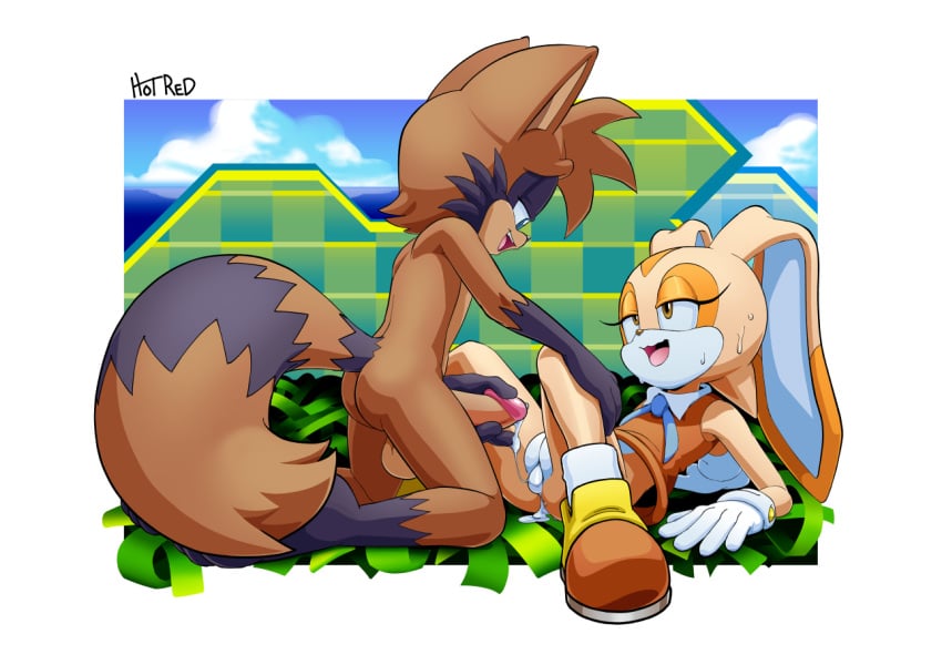 Cream The Rabbit (Sonic (Series)) Rule 34 Image