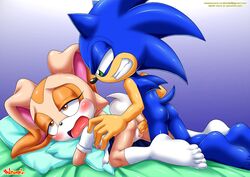 Sonic (Series) Rule 34 Image
