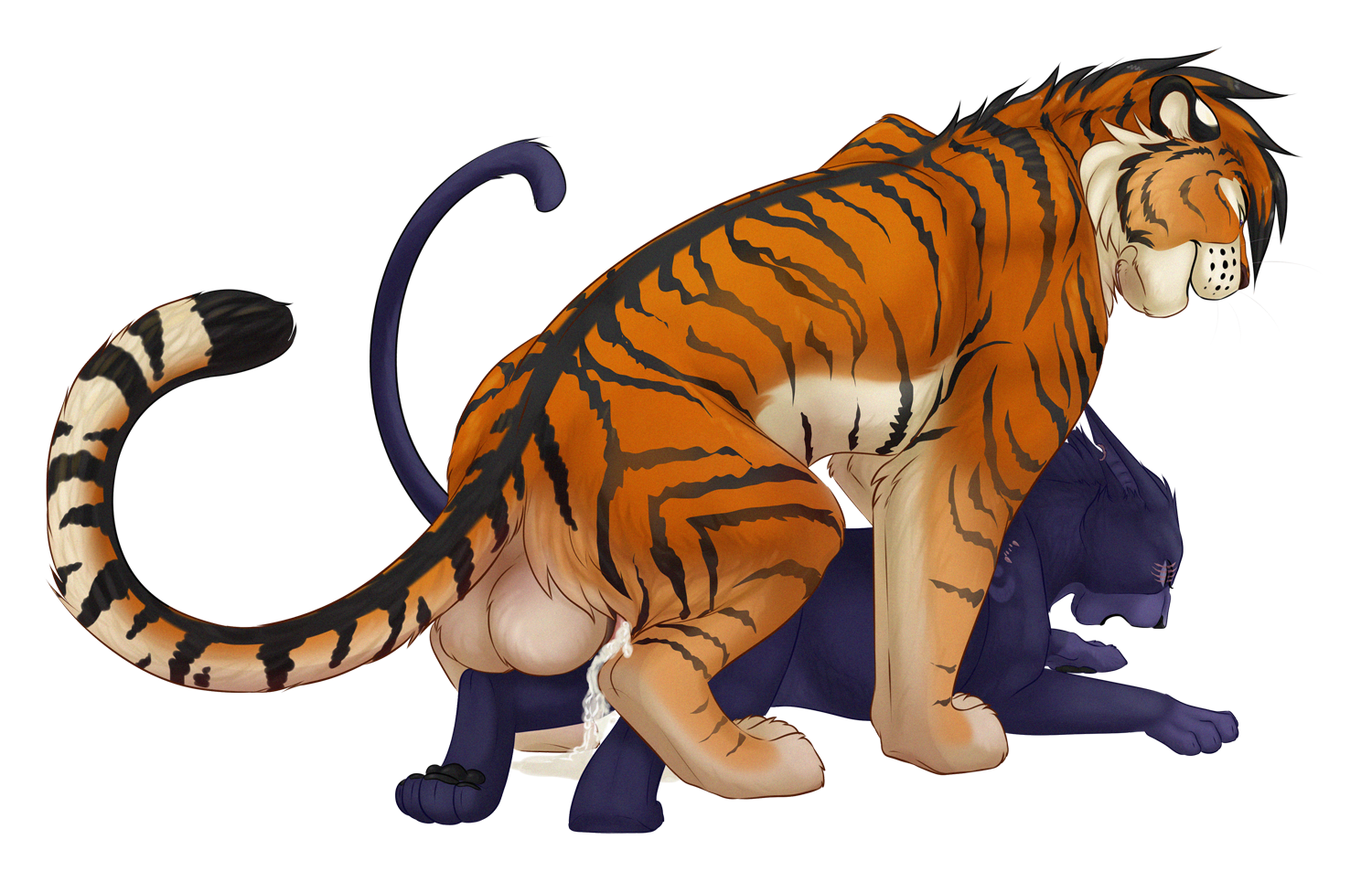 Kato (Tiger) Rule 34 Image