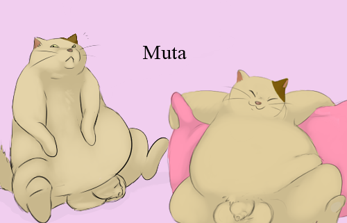 Neko No Ongaeshi Rule 34 Image