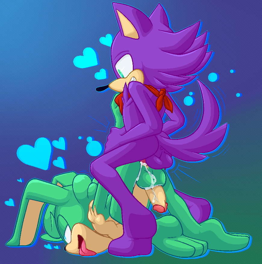 Fan Character (Sonic (Series)) Rule 34 Image