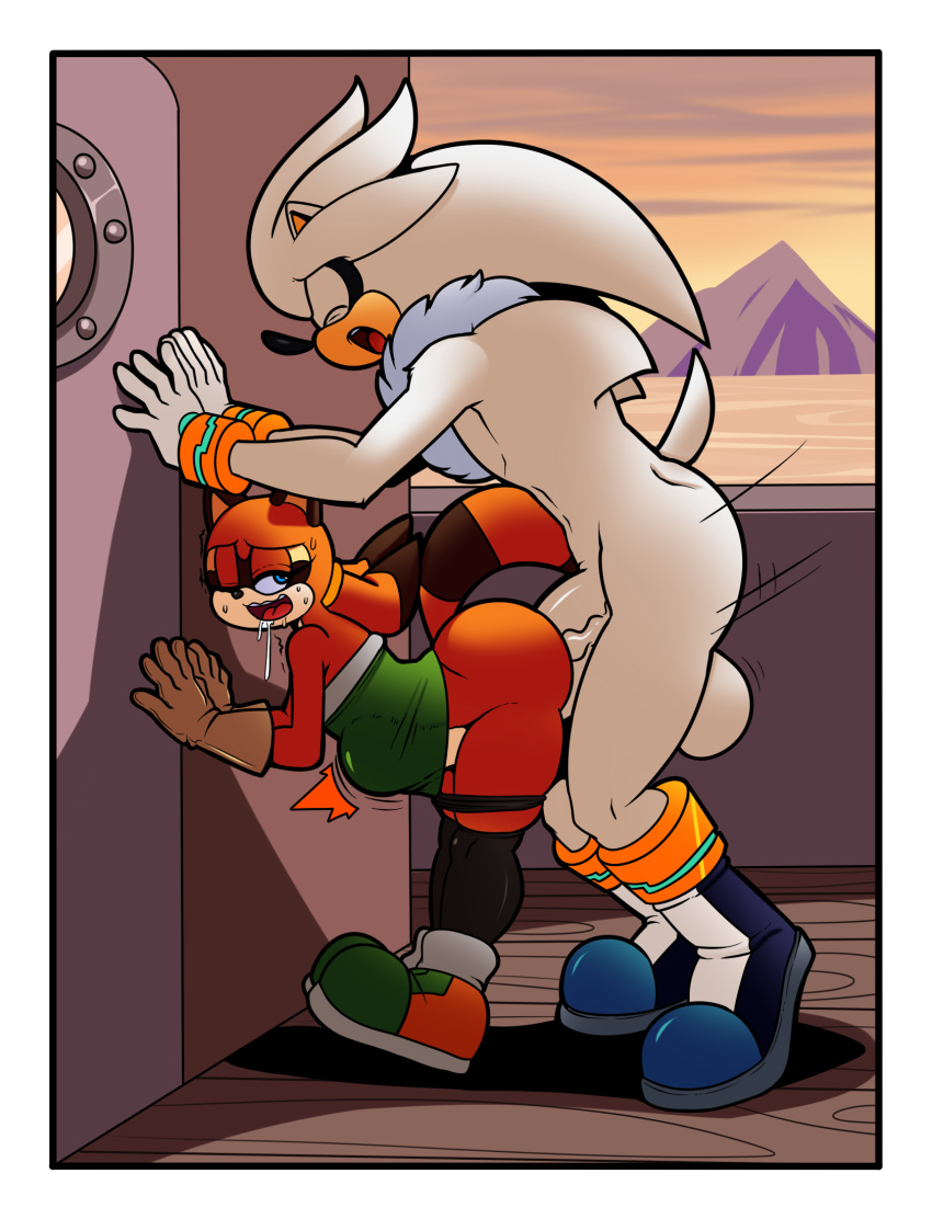 Marine The Raccoon (Sonic (Series)) Rule 34 Image