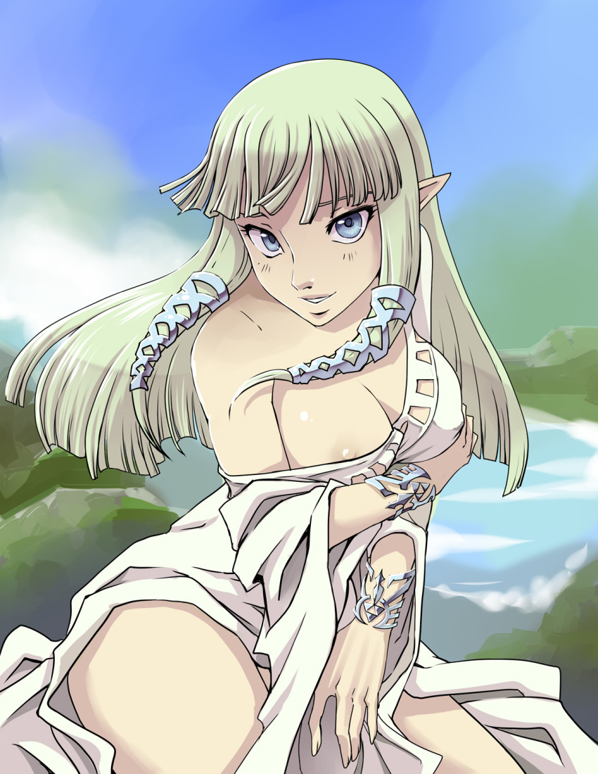 Princess Zelda (Nintendo) Rule 34 Image