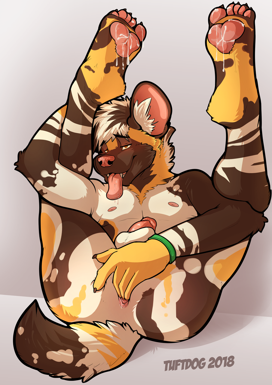 African Wild Dog Rule 34 Image