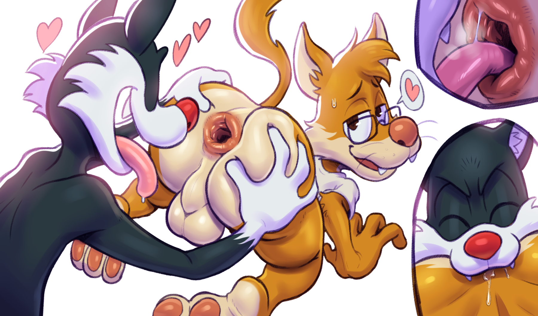 Sylvester (Looney Tunes) Rule 34 Image