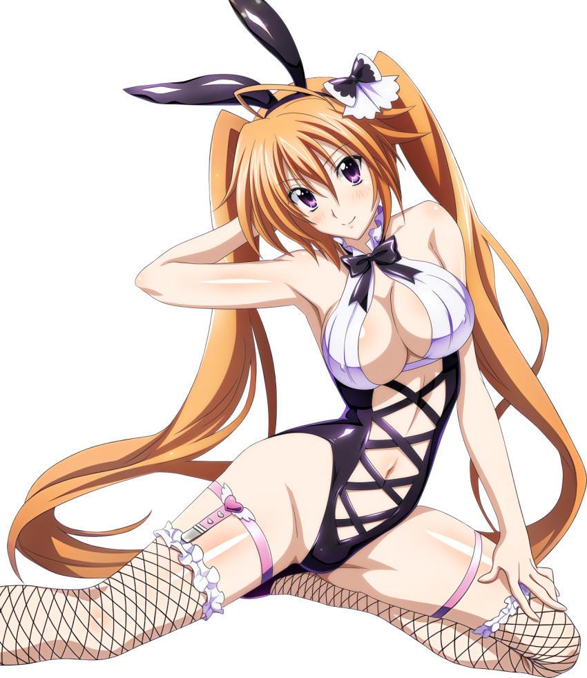 Shidou Irina (High School Dxd) Rule 34 Image