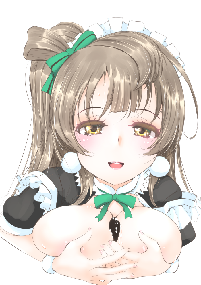 Minami Kotori (Love Live!) Rule 34 Image