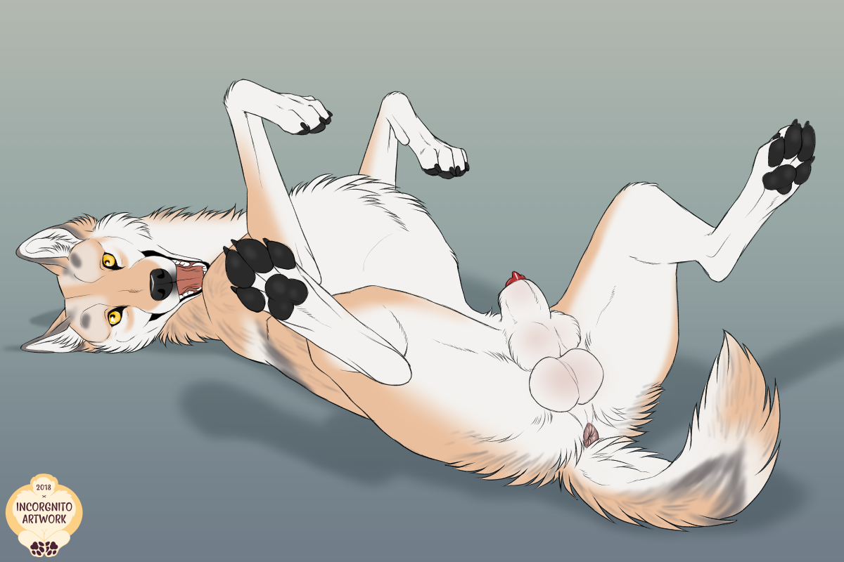 Animal Genitalia Rule 34 Image