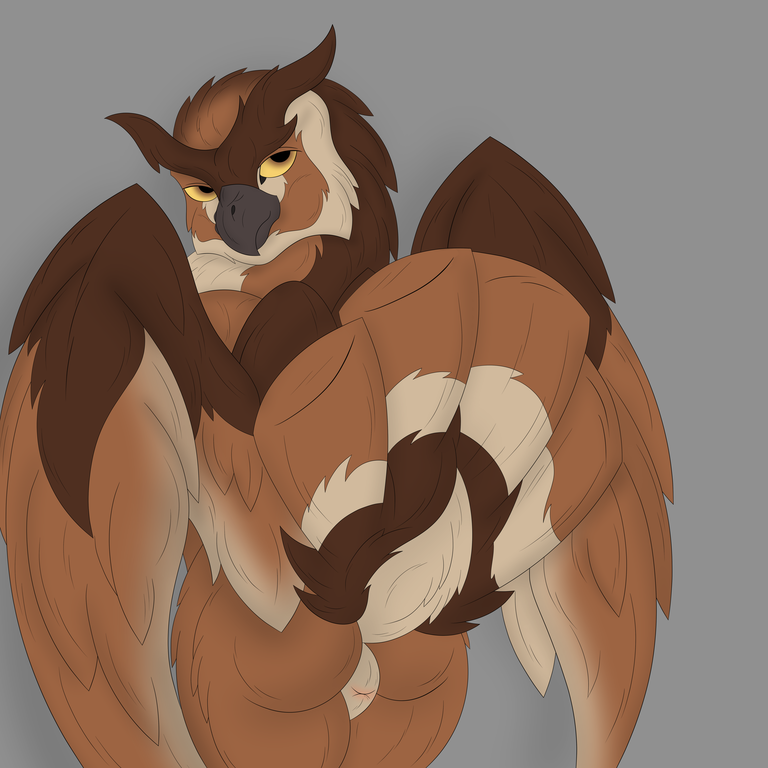 Ambiguous Gender Rule 34 Image