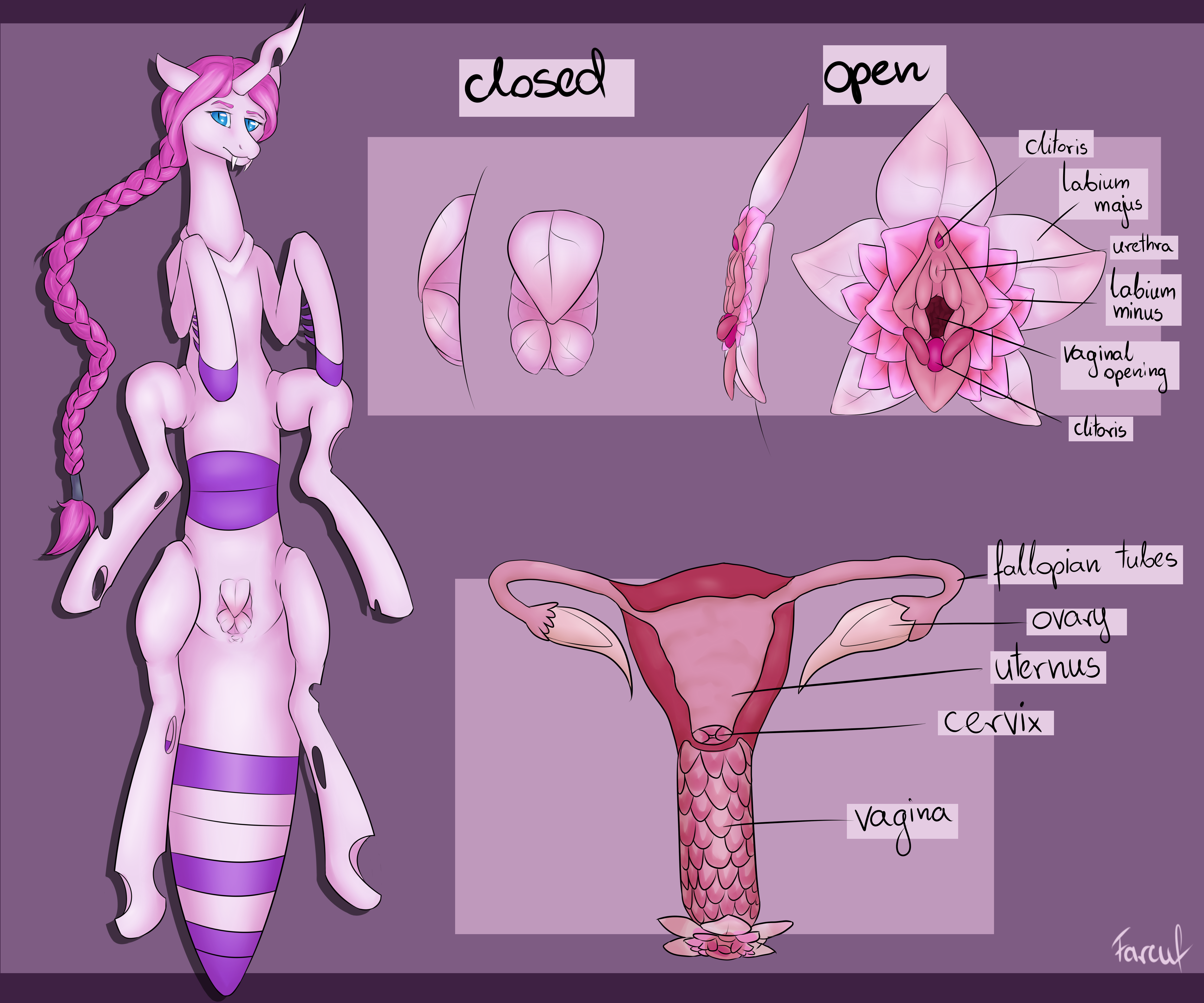 Fan Character (Friendship Is Magic) Rule 34 Image