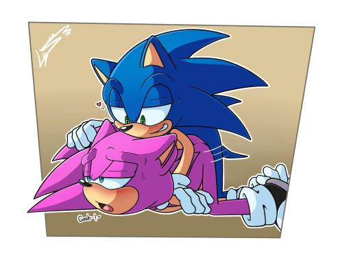 Fan Character (Sonic (Series)) Rule 34 Image