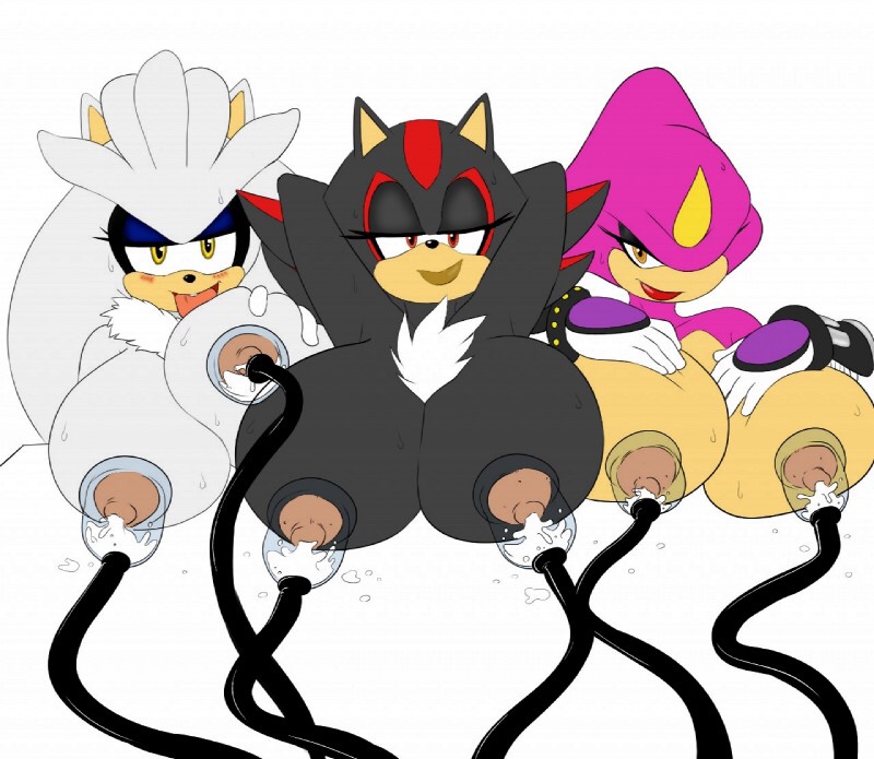 Espio The Chameleon (Sega) Rule 34 Image