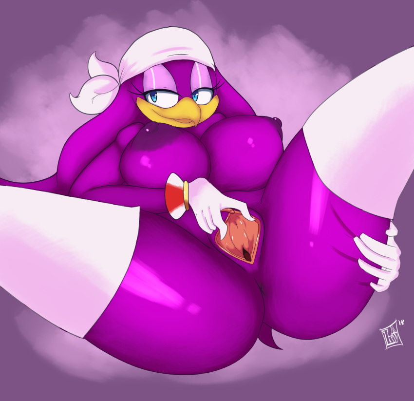 Wave The Swallow (Sonic (Series)) Rule 34 Image