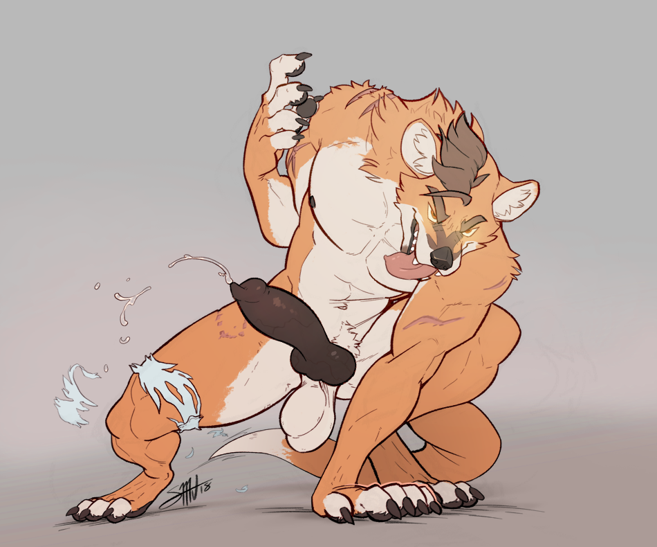 Animal Genitalia Rule 34 Image