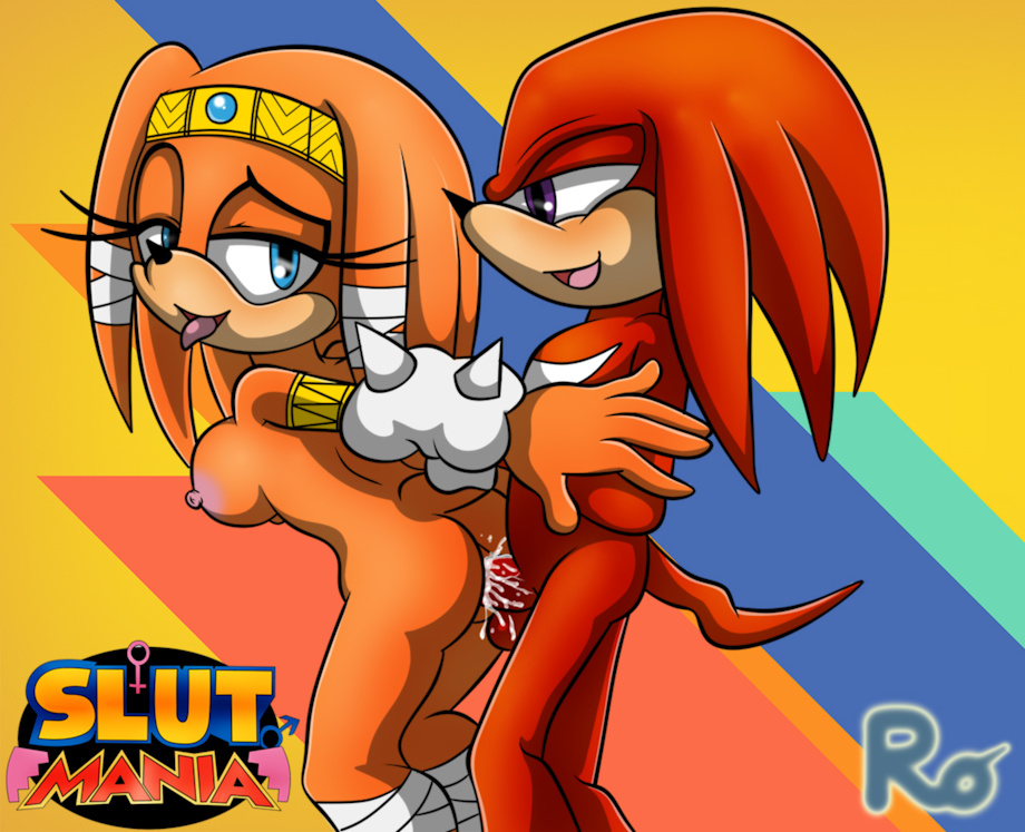 Knuckles The Echidna (Sega) Rule 34 Image