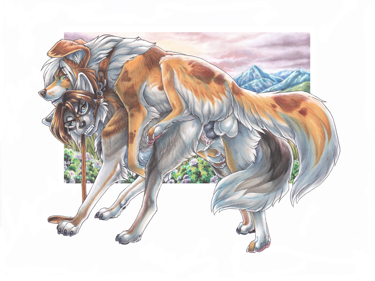 Timber Wolf Rule 34 Image
