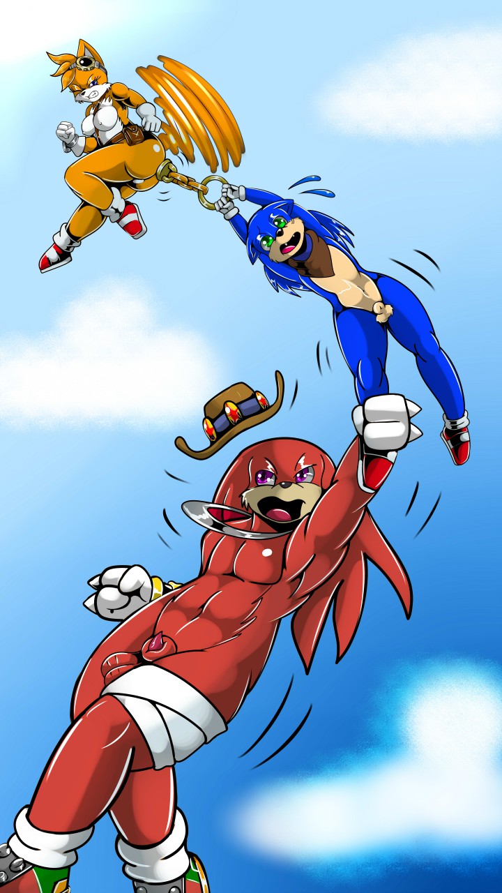 Knuckles The Echidna (Sonic (Series)) Rule 34 Image
