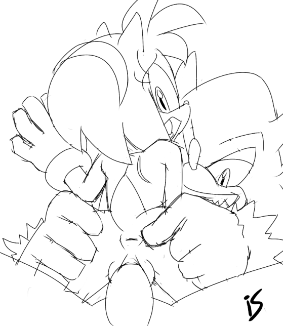 Amy Rose (Sonic (Series)) Rule 34 Image