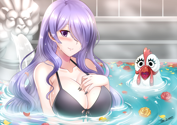 Camilla (Fire Emblem) Rule 34 Image