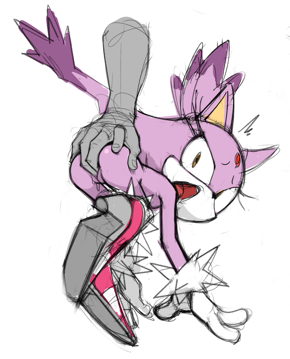 Blaze The Cat (Sega) Rule 34 Image
