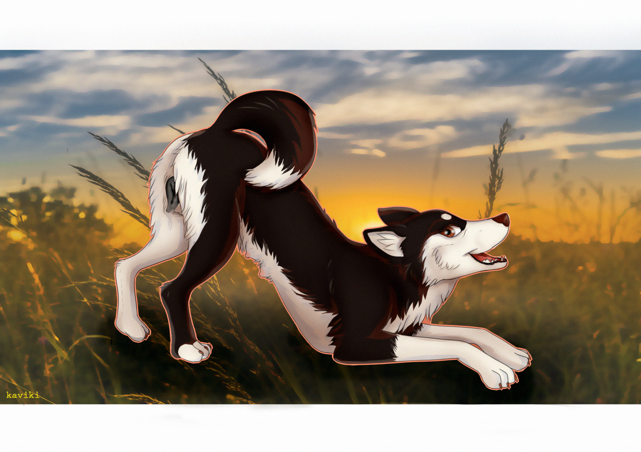 Animal Genitalia Rule 34 Image