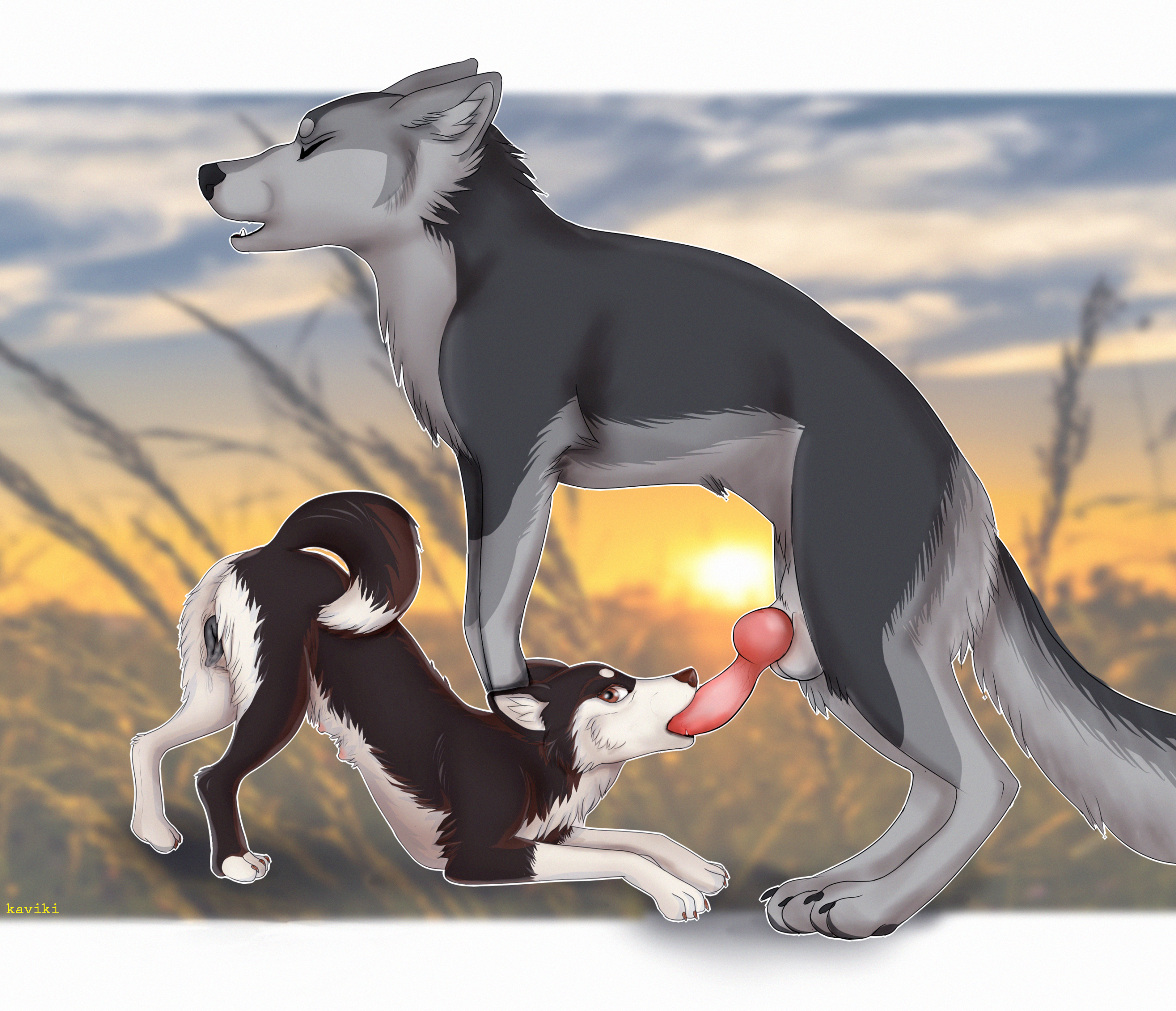 Animal Genitalia Rule 34 Image