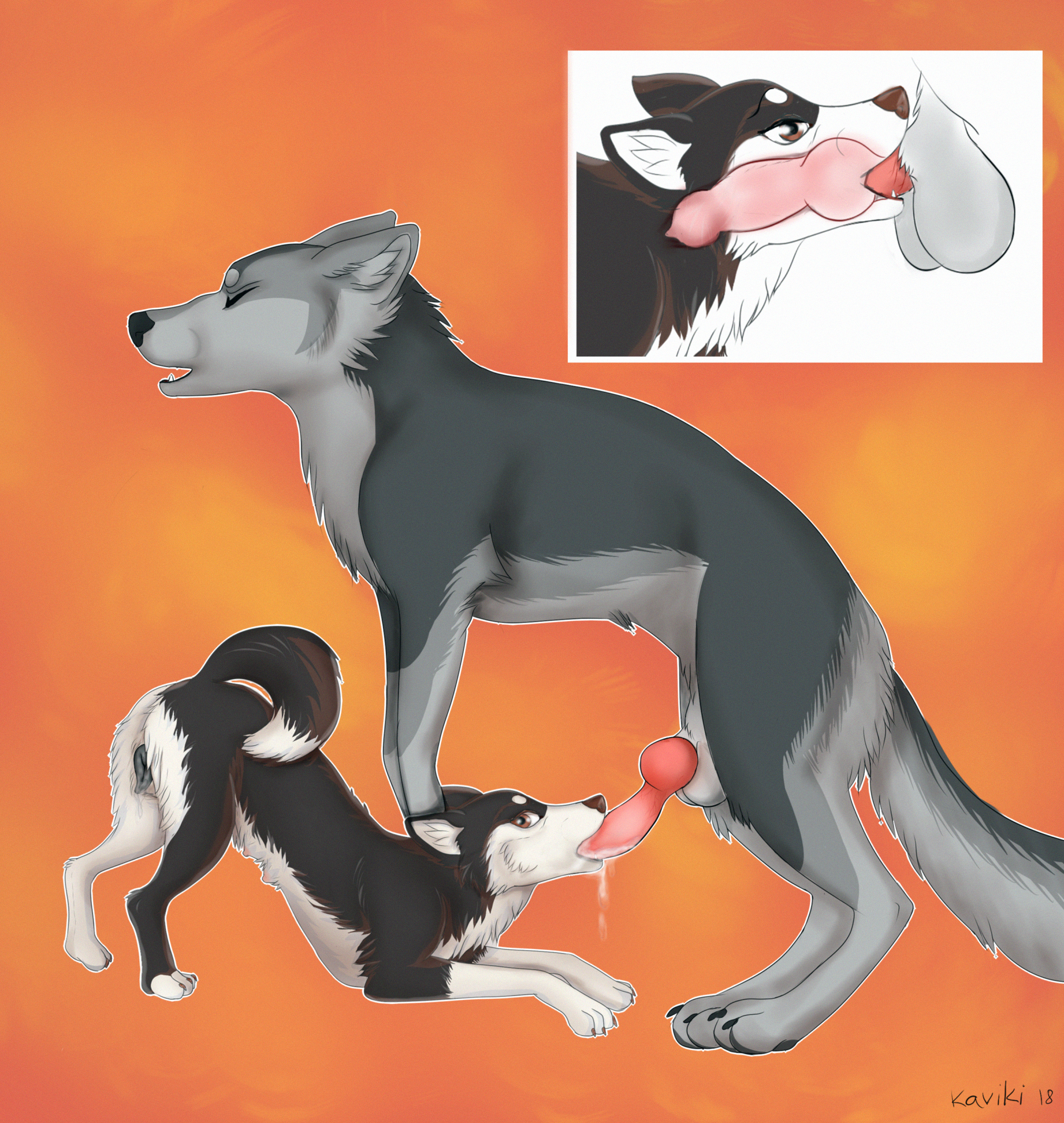 Animal Genitalia Rule 34 Image