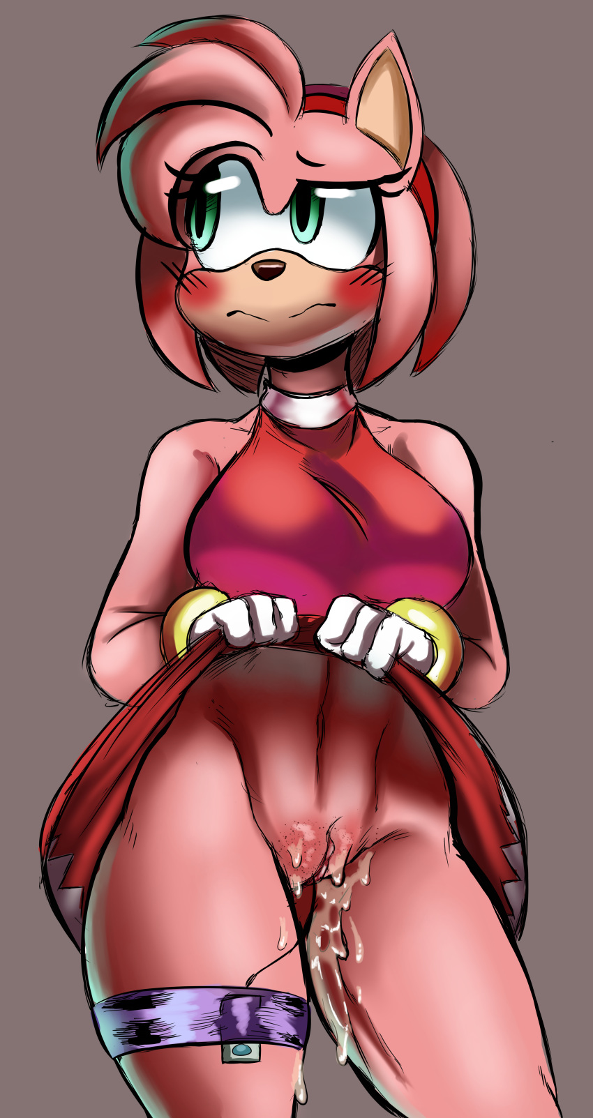 Sonic (Series) Rule 34 Image