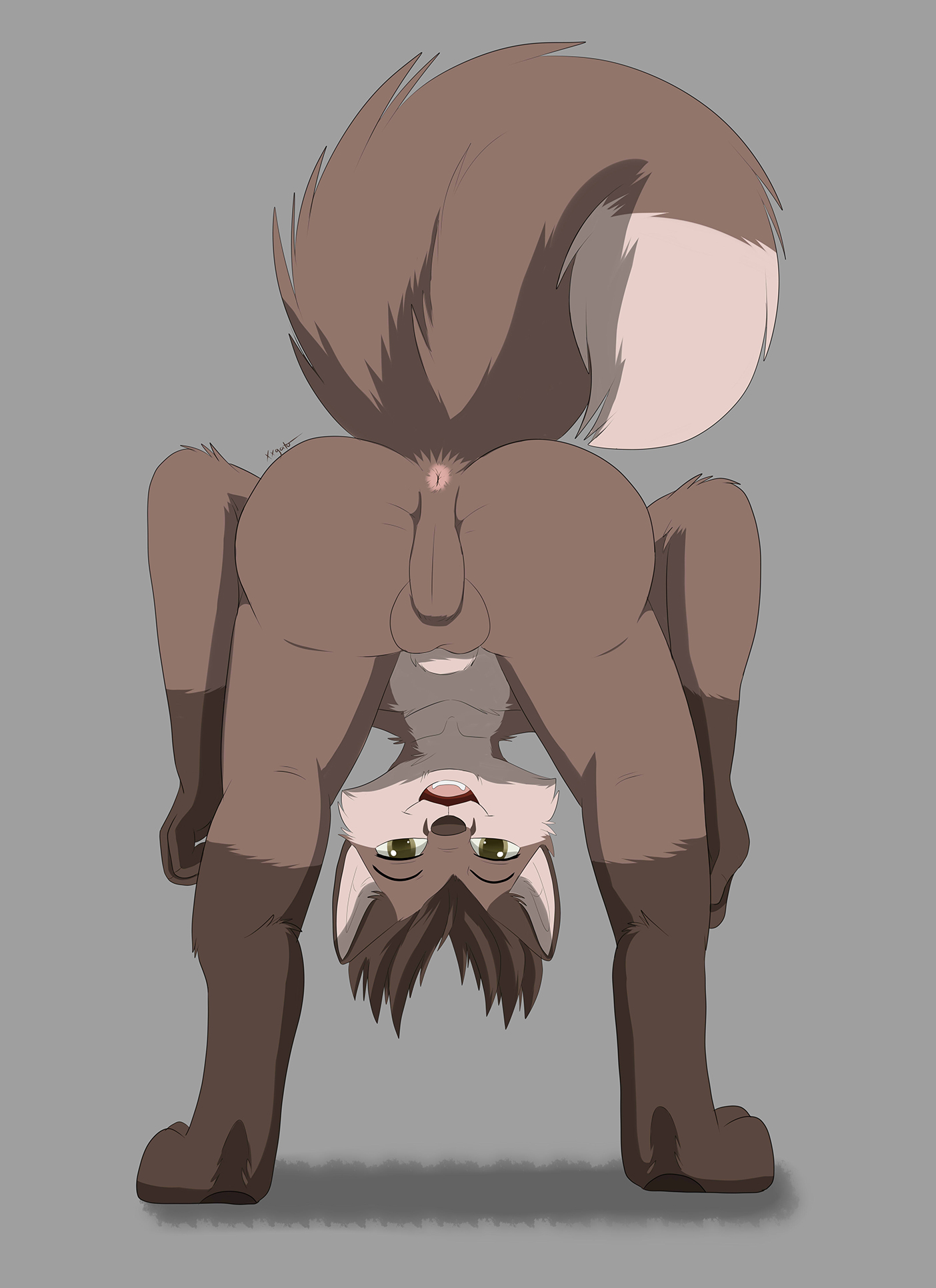 Animal Genitalia Rule 34 Image
