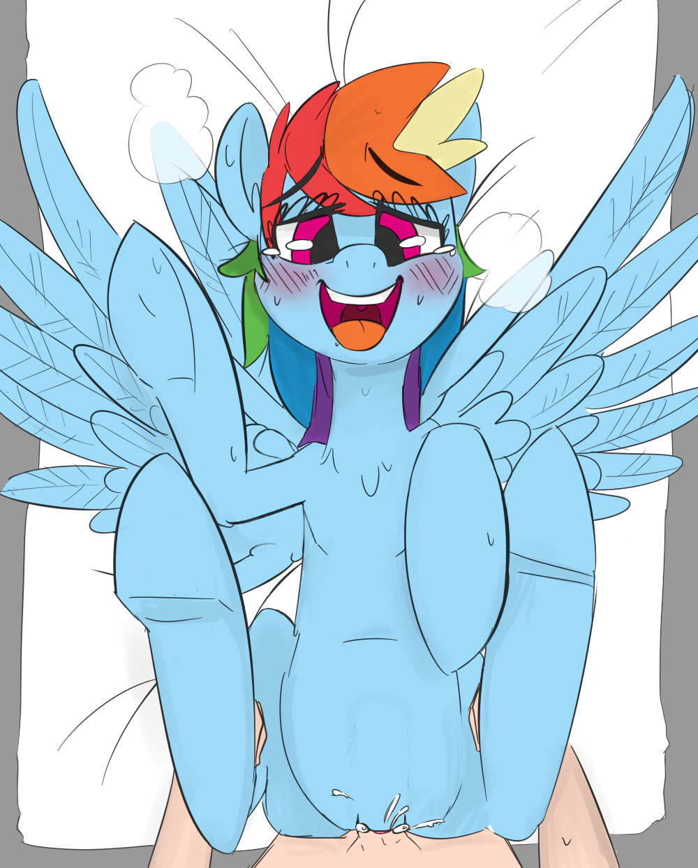Rainbow Dash (Mlp) Rule 34 Image