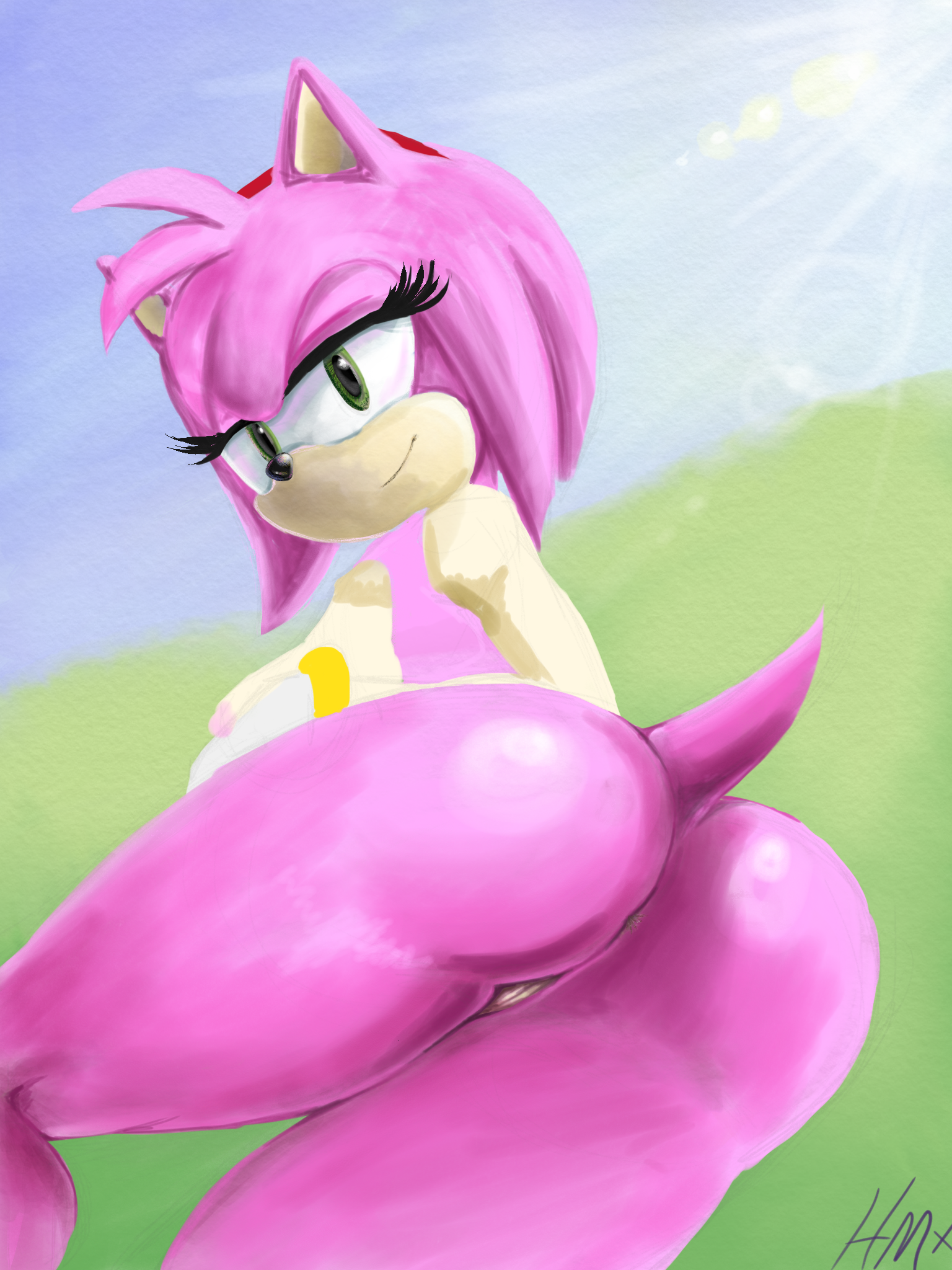 Amy Rose (Sonic (Series)) Rule 34 Image