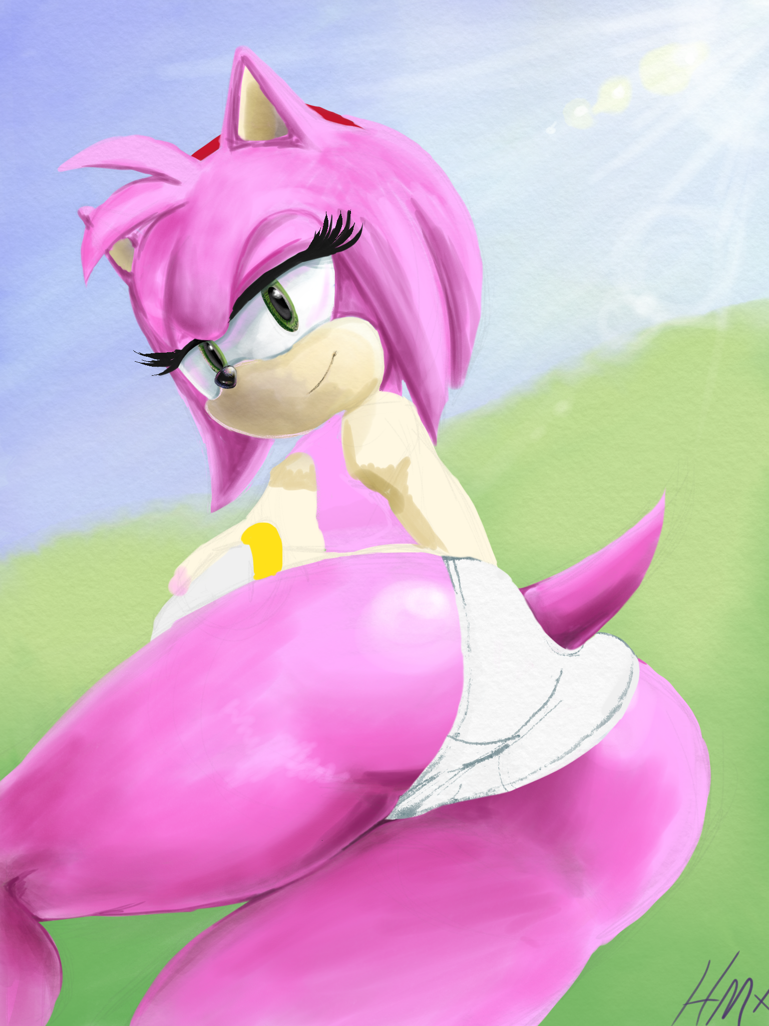 Amy Rose (Sonic (Series)) Rule 34 Image