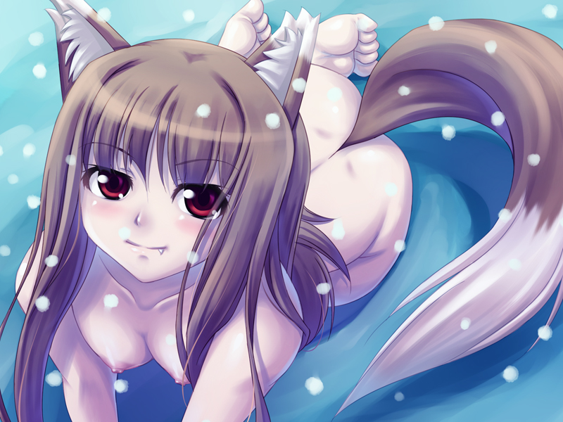 Holo (Spice And Wolf) Rule 34 Image
