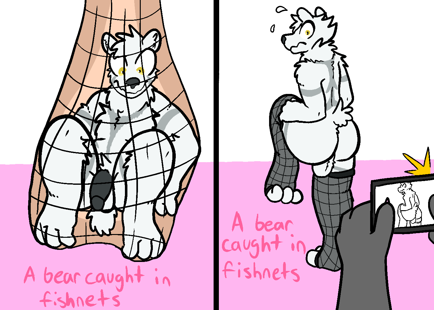 Bear Rule 34 Image