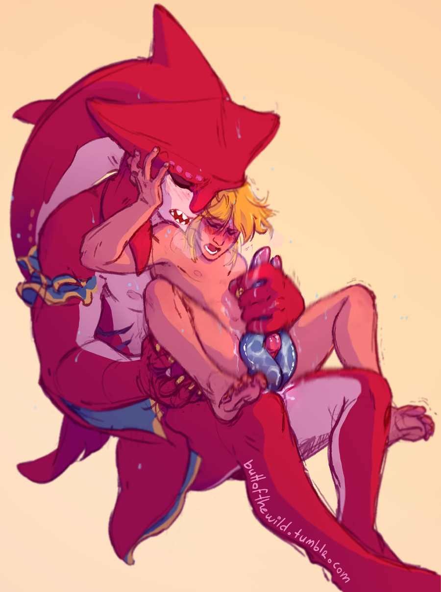 Link (Breath Of The Wild) Rule 34 Image