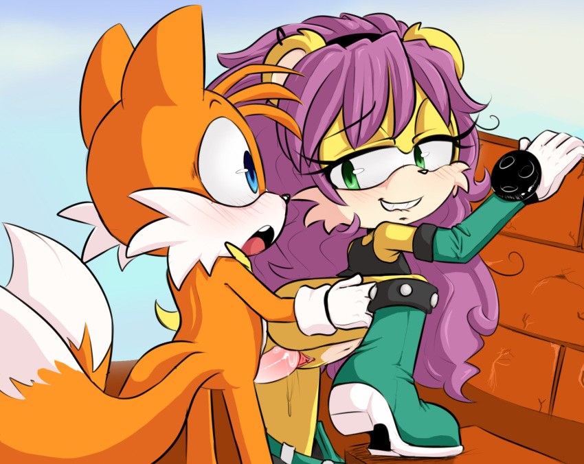 Mina Mongoose (Sonic (Series)) Rule 34 Image