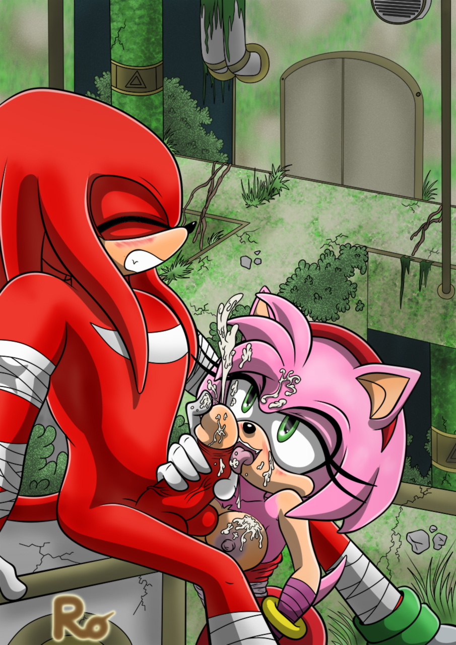 Amy Rose (Sega) Rule 34 Image