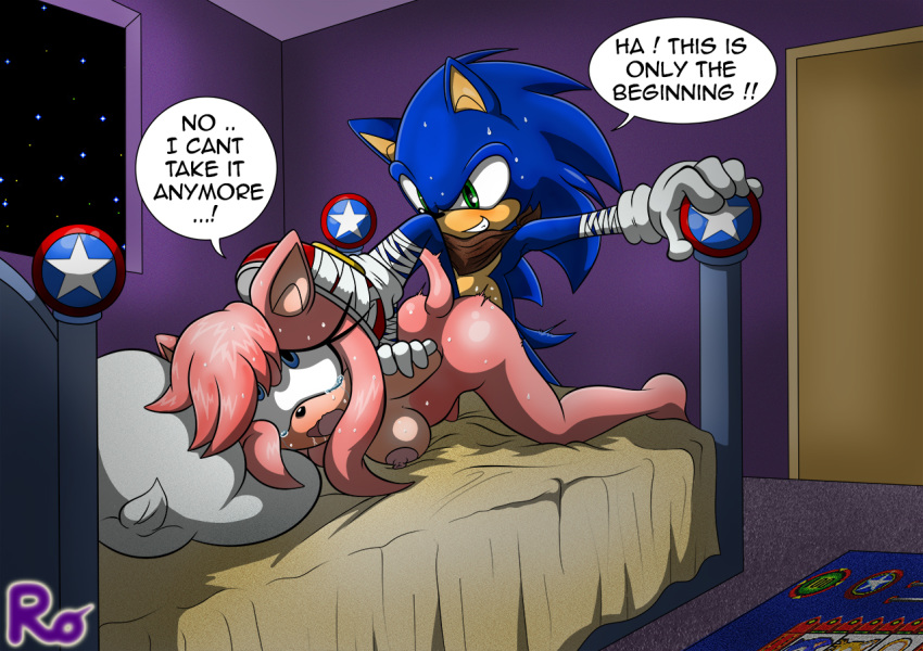 Amy Rose (Sonic (Series)) Rule 34 Image