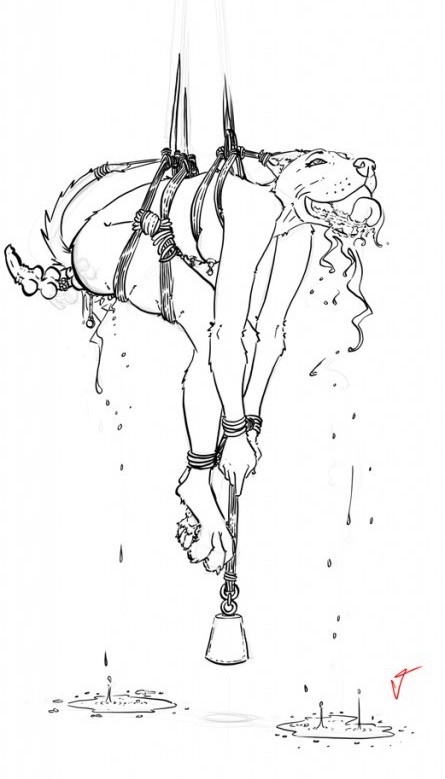 Weights (Bdsm) Rule 34 Image