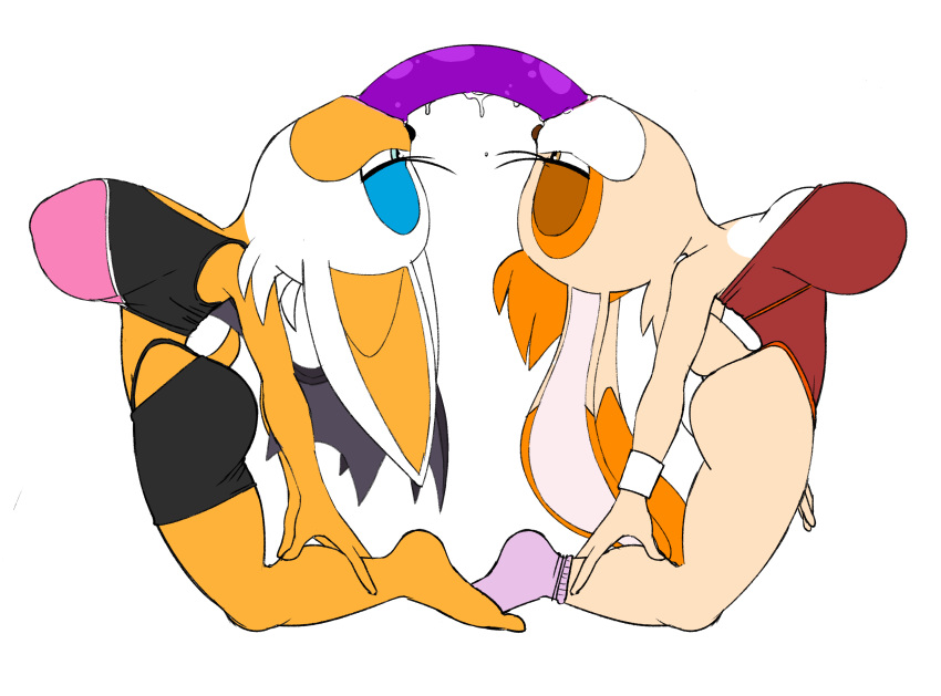 Rouge The Bat (Sonic (Series)) Rule 34 Image