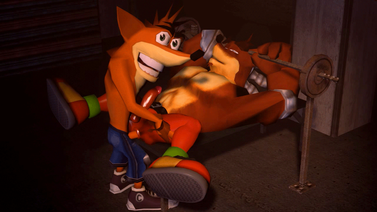 Crash Bandicoot (Crash (Series)) Rule 34 Image