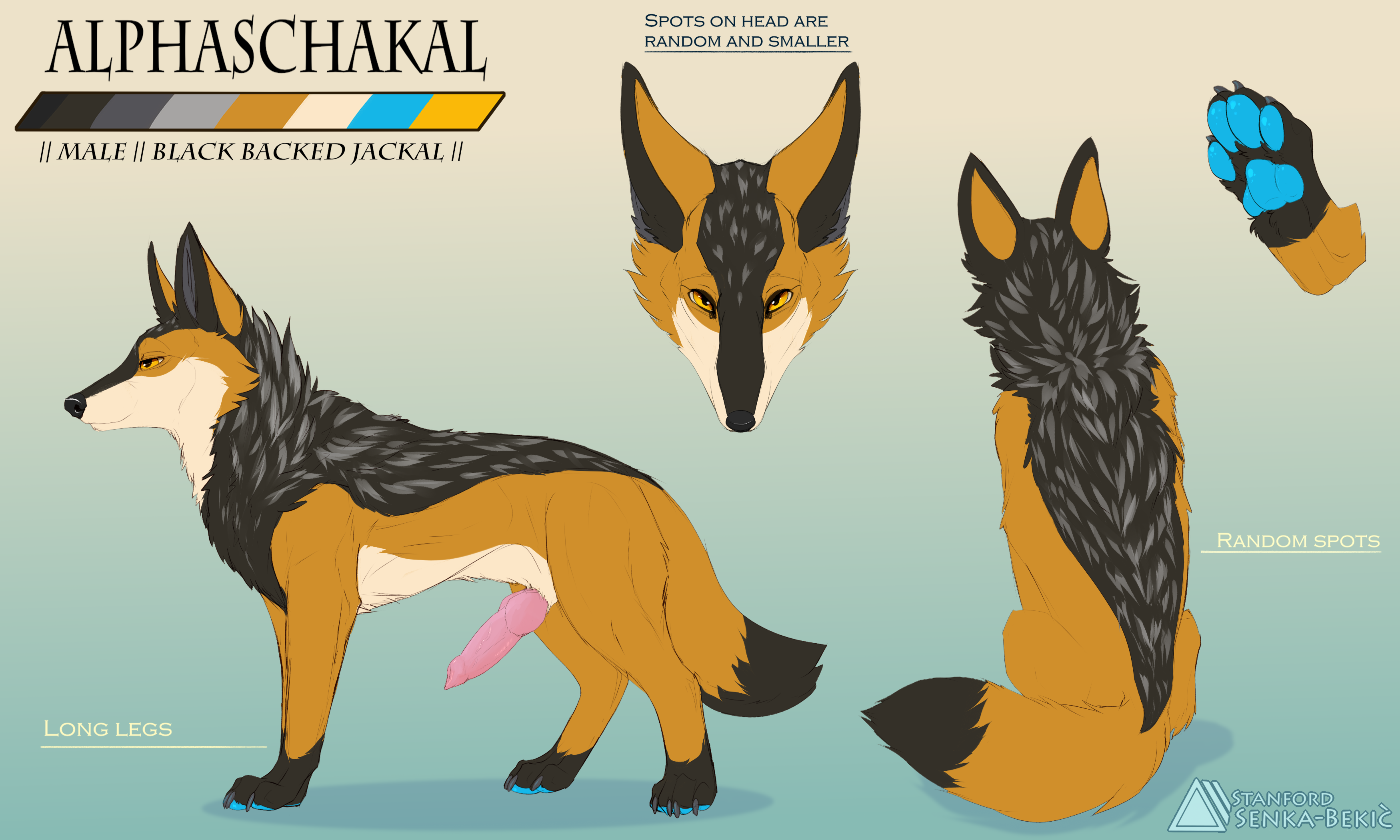 Alphaschakal Rule 34 Image