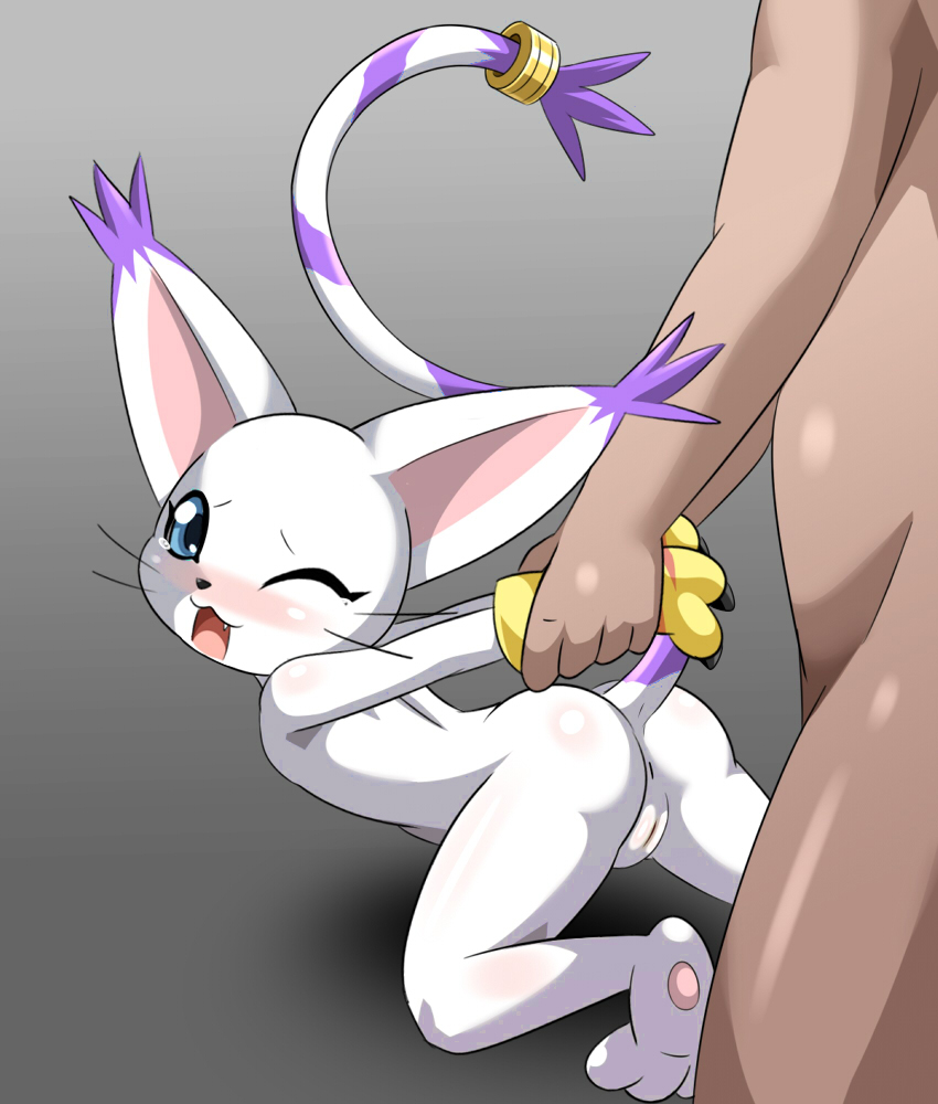 Digimon (Species) Rule 34 Image