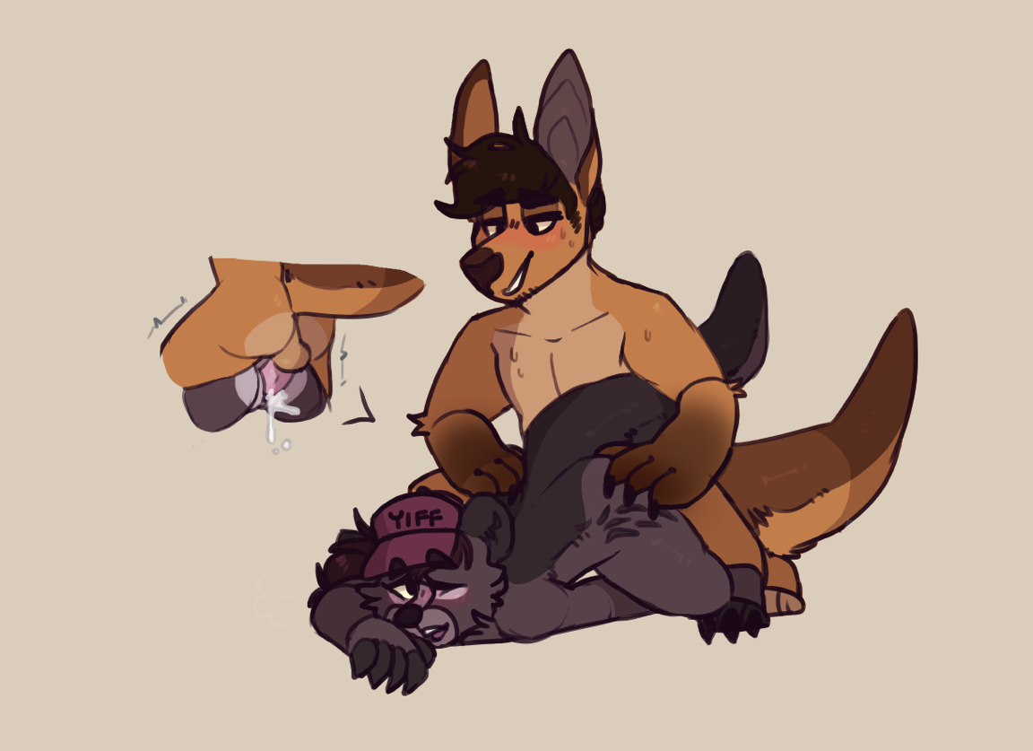 Wallabee Rule 34 Image