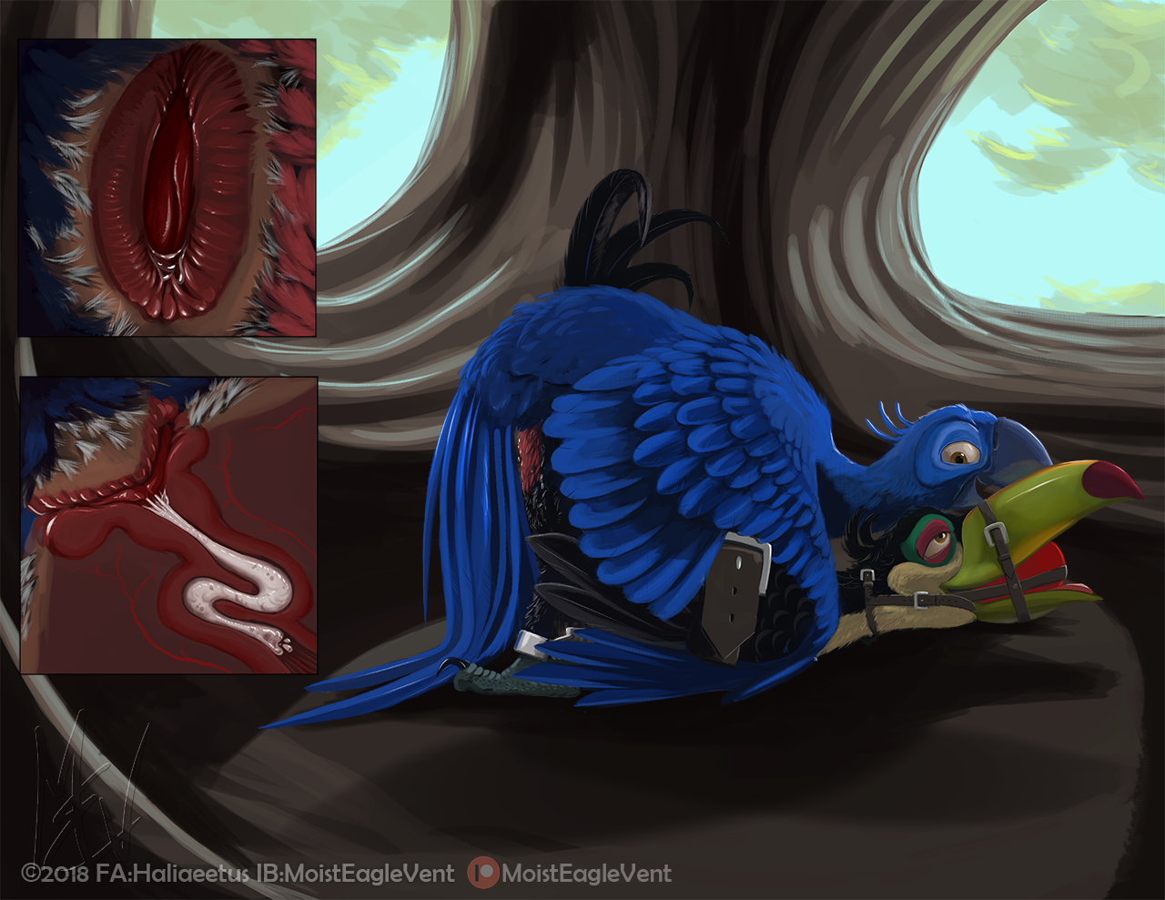 Blu (Rio) Rule 34 Image