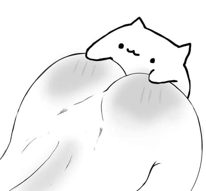 Bongo Cat (Silly Cats) Rule 34 Image