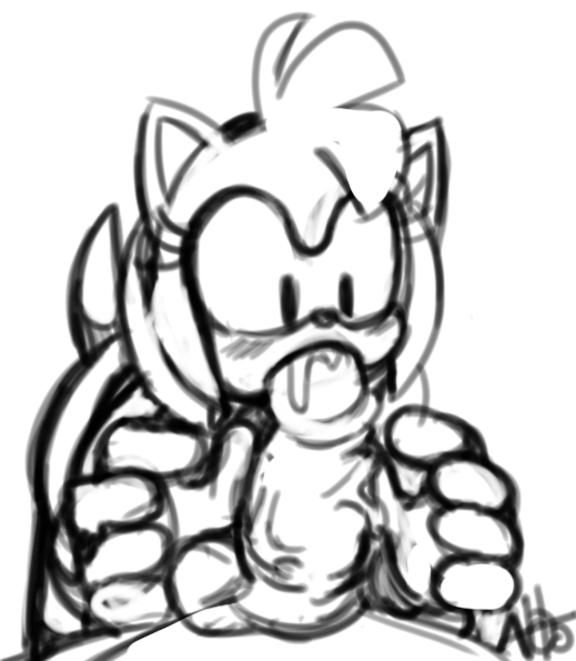 Amy Rose (Sonic (Series)) Rule 34 Image