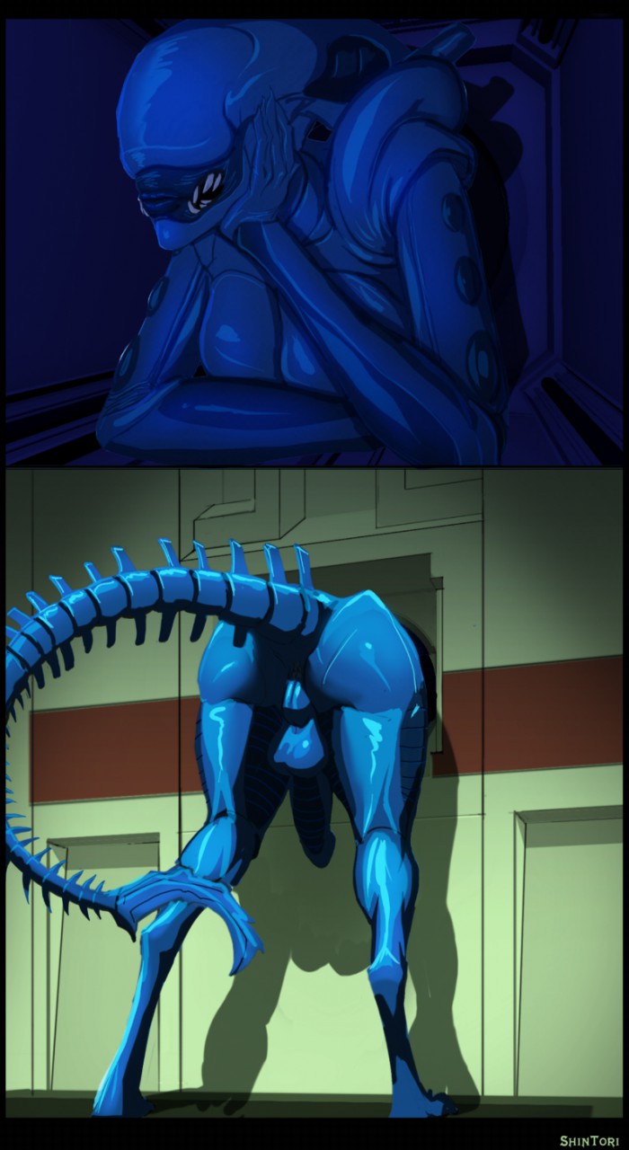 Female Xenomorph (Alien (Franchise)) Rule 34 Image