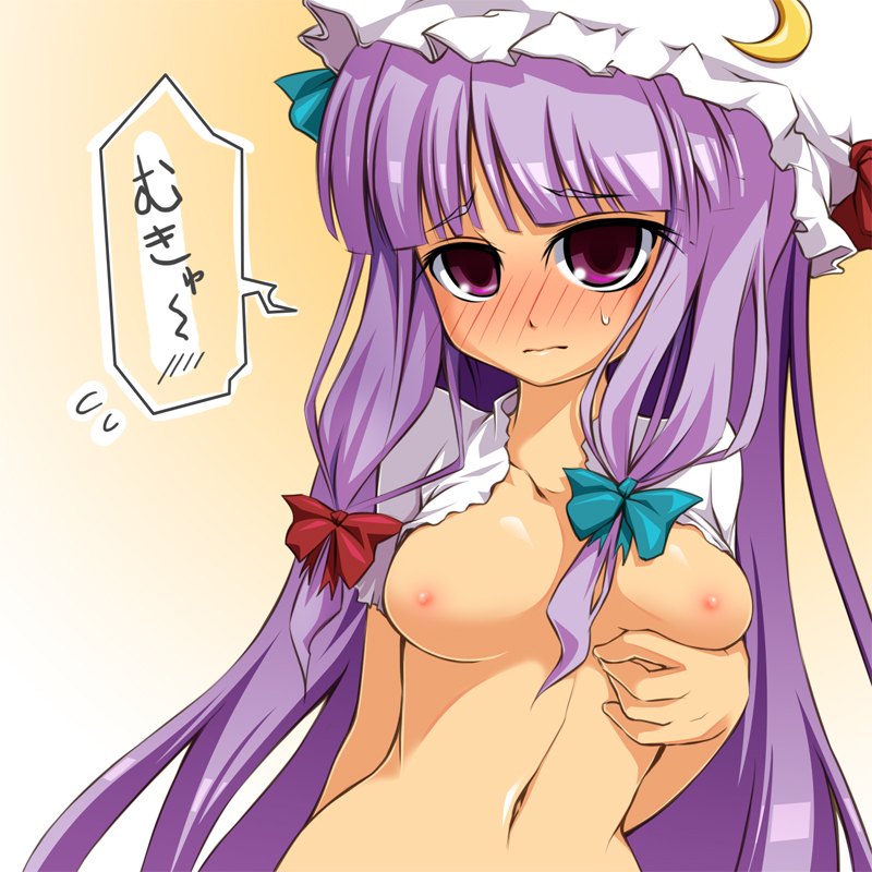 Patchouli Knowledge (Touhou) Rule 34 Image